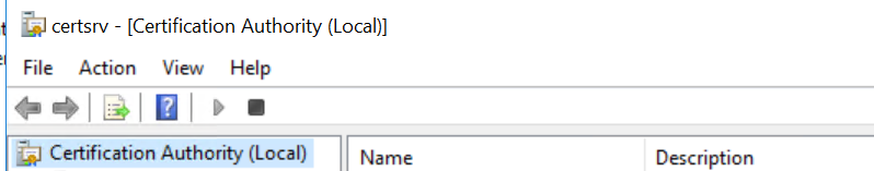screenshot_certsrv.png